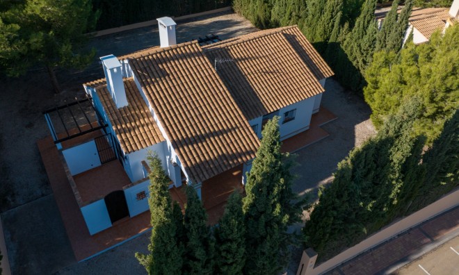 Новое здание - Villa -
Fuente Álamo - LAS PALAS