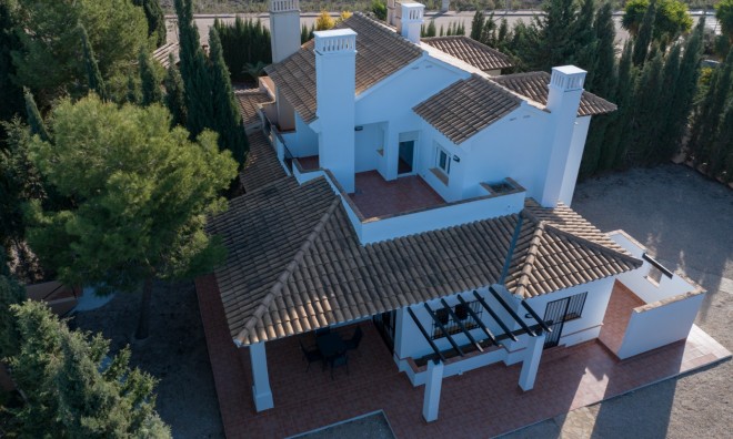 Nouvelle construction - Villa -
Fuente Álamo - LAS PALAS